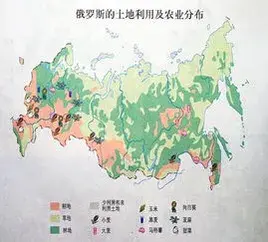 普京催生:每家必須至少有2個孩子