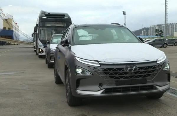 全球氫燃料電池汽車銷量下滑30%,現(xiàn)代世界第一,中國增速最快!