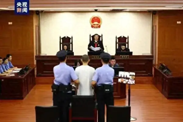 吳謝宇案死刑復核裁定書內容披露