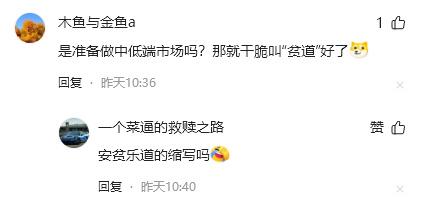 蔚來發布子品牌樂道汽車,我卻笑死在評論區