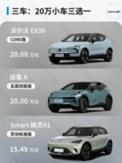 被“寵壞”的國(guó)內(nèi)消費(fèi)者,會(huì)花20萬(wàn)買(mǎi)北歐小車(chē)嗎