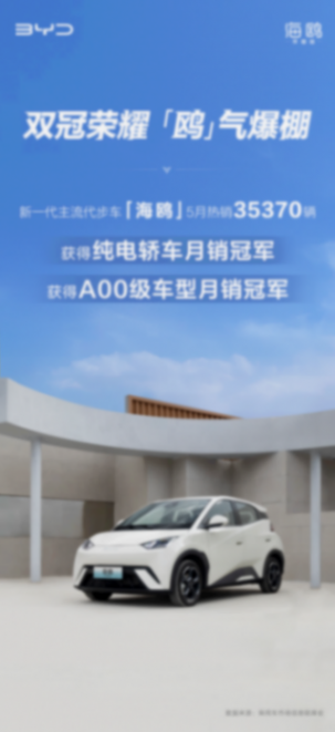 5月銷量排名出爐 海鷗熱銷35370輛 獲純電轎車+A00級車型月銷雙冠
